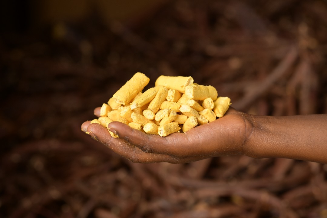 Pulpe de Néré - 2