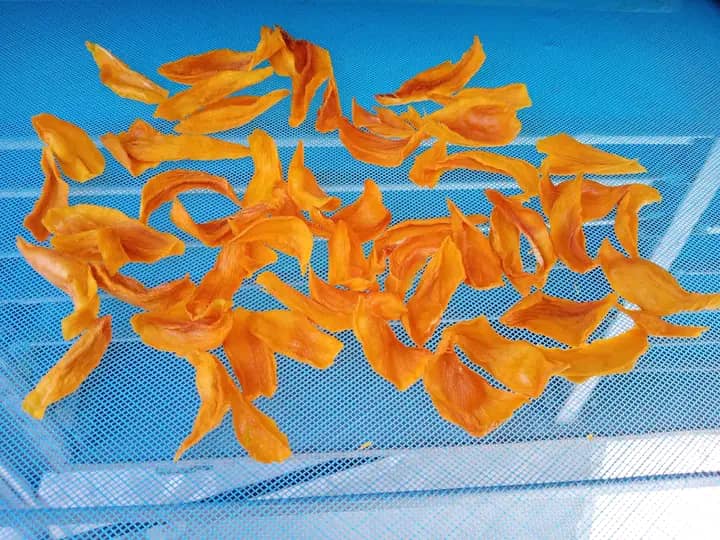 Mangue séchée