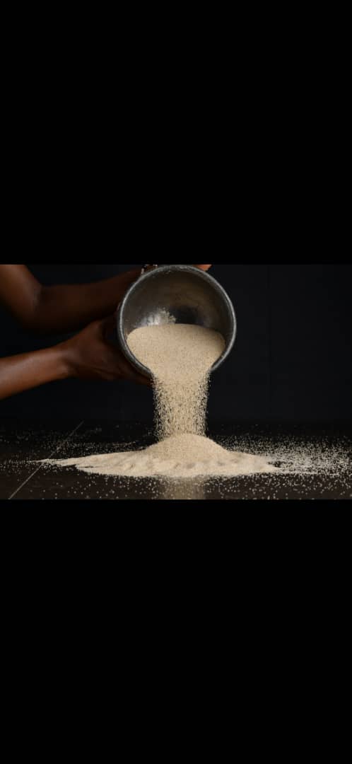 Grains de Fonio - 2